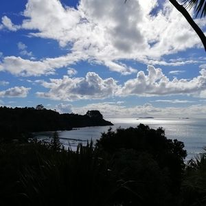 Meet your Posher, Joanne